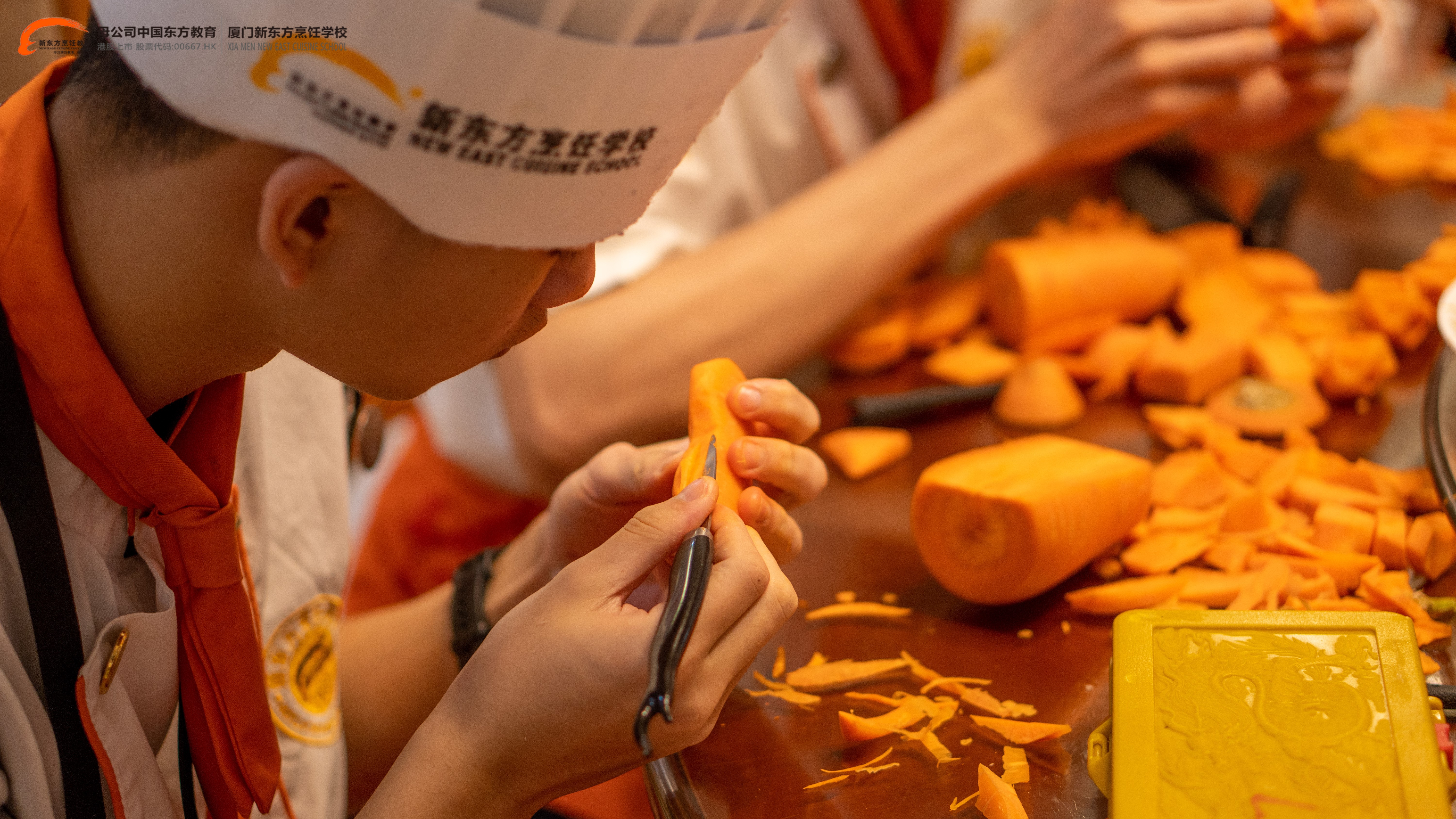 ����⿵������������¶�����ѧ֮�ã�������δ��������ְҵ������