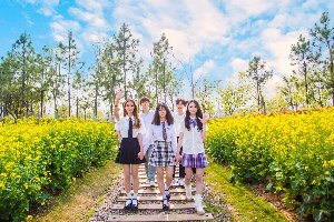 ��׼���Ҿ���������ʳ���˸����أ�